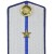 Офицеры. Инженерно-командный состав (Нестроевой состав).